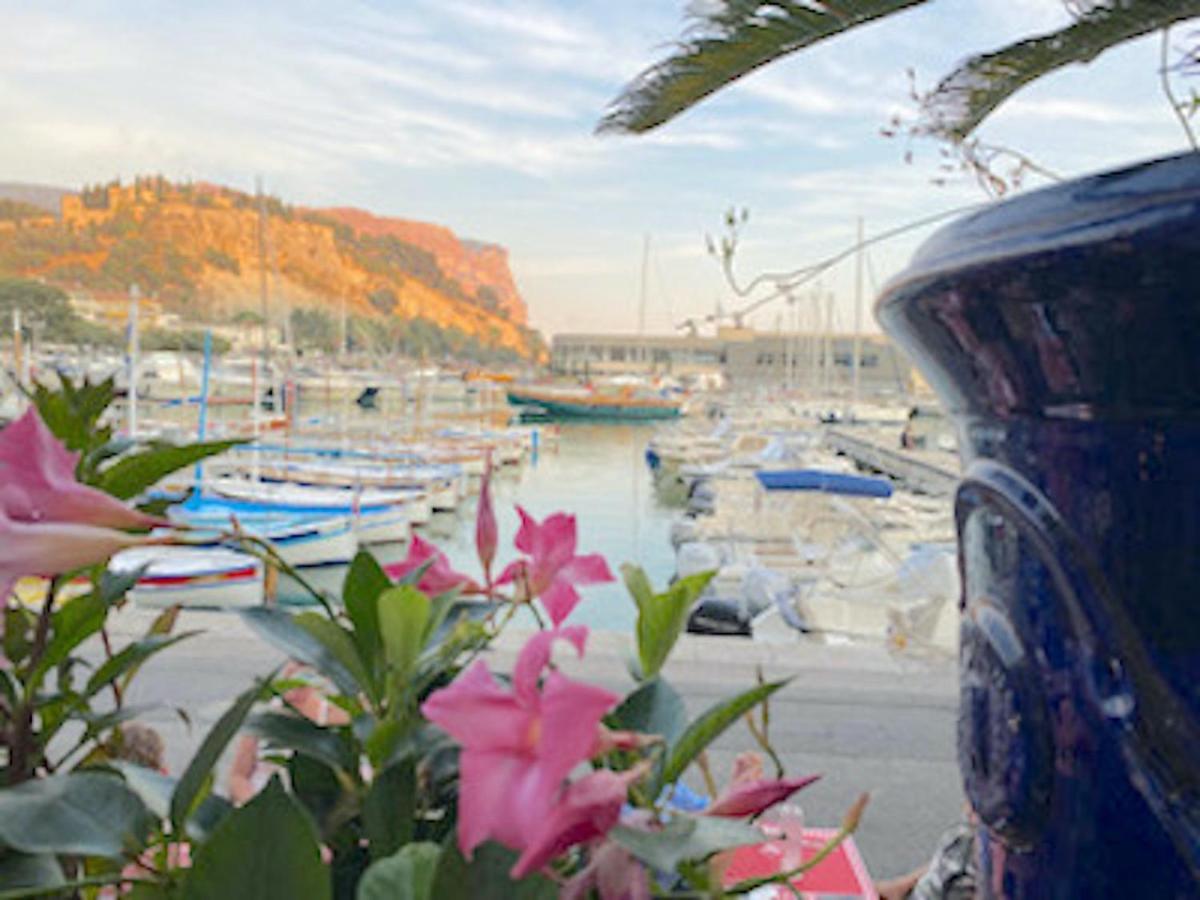 Apartment Coeur De - 200 M Du Port Et - Parking Prive Cassis